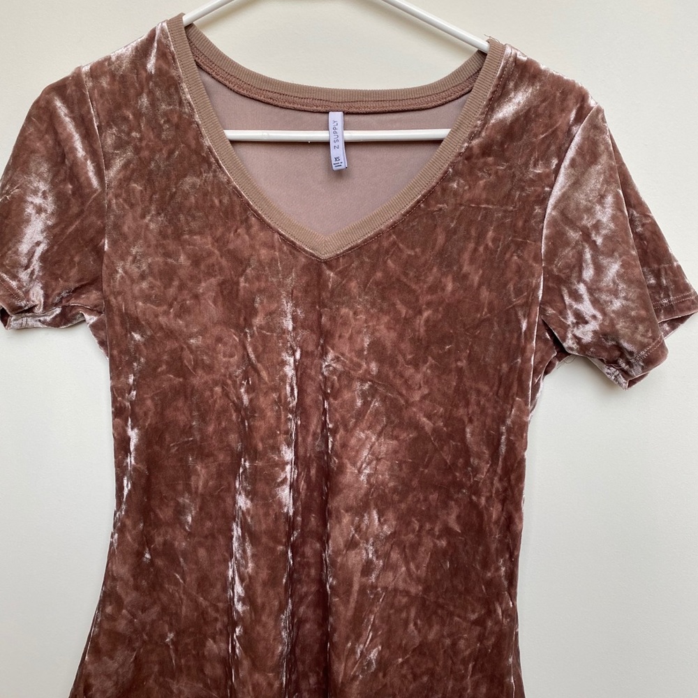 Z supply velvet v-neck top